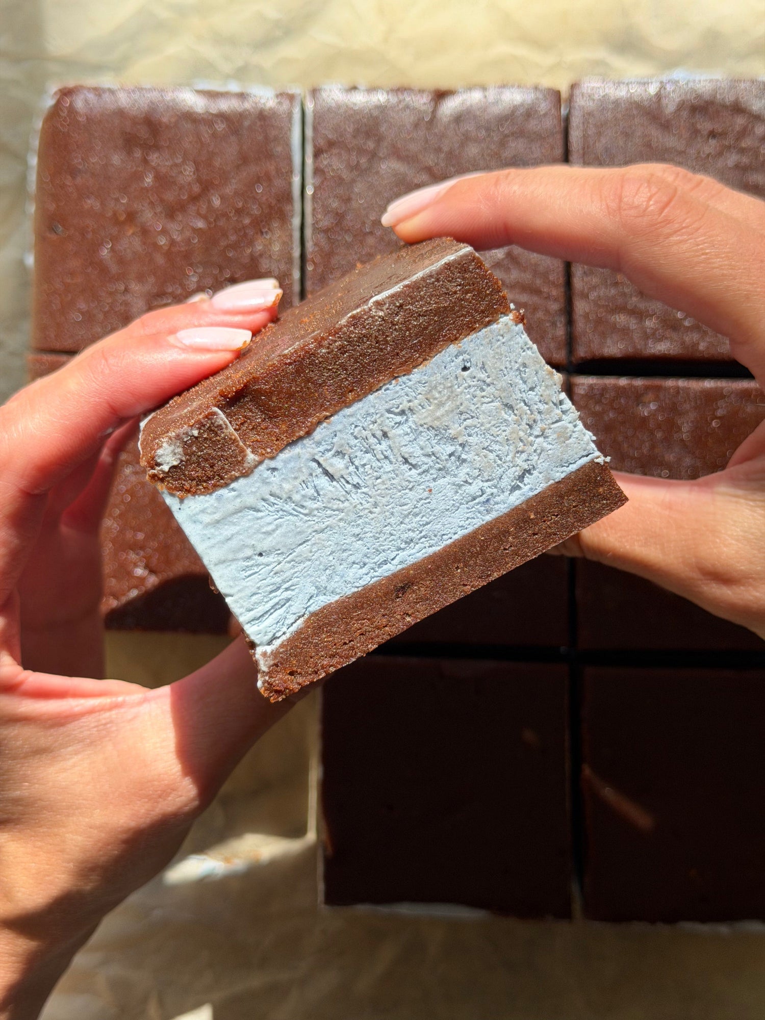 Butterfly Pea Ice Cream Sandwich